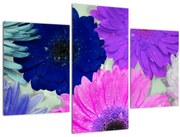 Obraz farebných kvetín (90x60 cm)