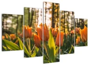 Obraz - kvety tulipánov (150x105 cm)