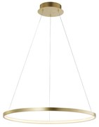Leuchten Direkt 11524-12 - LED Luster na lanku CIRCLE LED/28,5W/230V