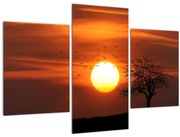 Obraz - Západ slnka (90x60 cm)