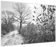 Obraz - Pole v zime (90x60 cm)