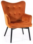 - výber z 7 prevedení