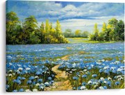 Obraz - Cestička v poli, olejomaľba (70x50 cm)