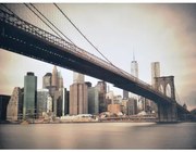 Obraz tlačený na plátne 75x100 PRC890