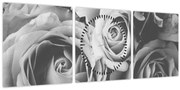 Obraz - Ruža, čiernobiela (s hodinami) (90x30 cm)
