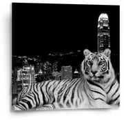 Sablio Obraz Mestský tiger - 50x50 cm