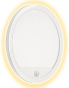 Telefunken 313706TF-LED Vonkajšie nástenné svietidlo so senzorom LED/15W/230V IP44