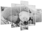 Obraz - Ľadové medvede (150x105 cm)