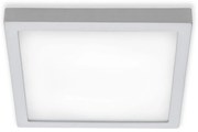 Briloner 7142-414 - LED Stropné svietidlo FIRE LED/21W/230V 4000K