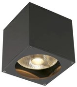 Vonkajšie nástenné svietidlo SLV BIG THEO WALL OUT 229565