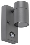 Vonkajšia nástenná lampa antracit IP44 s pohybovým senzorom - Solo