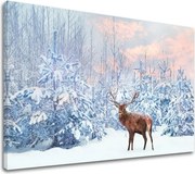 Obraz na stenu ZVIERATÁ_053-11