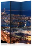 Artgeist Paraván - Illuminated Barcelona [Room Dividers]