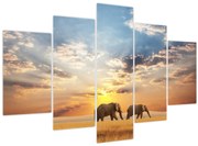Obraz - Slony putujúce savanou (150x105 cm)