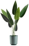 PLASTOVÝ KVETINÁČ ALOE TX 25,5X27 CM TMAVOZELENÁ