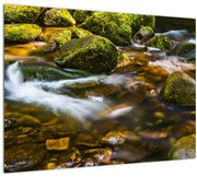 Obraz potôčiku (70x50 cm)