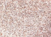 Metrážny koberec Narvik 41 béžový