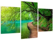 Obraz - Plitvické jazerá (90x60 cm)