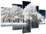 Obraz - Snehobiele stromy (150x105 cm)