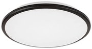 Rabalux 71130 - LED Stropné svietidlo ENGON LED/45W/230V 3000K čierna 48 cm