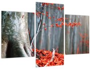 Obraz - Jeseň (90x60 cm)