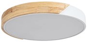 Rabalux 3527 - LED Stropné svietidlo MAPLE LED/24W/230V biela