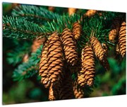 Obraz šišiek (90x60 cm)