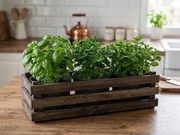 AMADEA Drevený obal s kvetináči - tmavý, 47x17x15cm Český výrobok