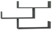 Police Tibet Anthracite