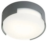 Redo 90003 - LED Vonkajšie stropné svietidlo SKOR LED/12W/230V IP54 šedá