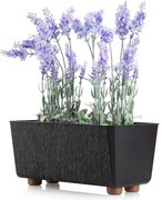 PLASTOVÝ KVETINÁČ SALVIA TX 28,5X17 CM ČIERNA