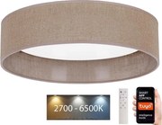 Brilagi - LED Stmievateľné svietidlo VELVET SMART LED/36W/230V Wi-Fi Tuya + DO