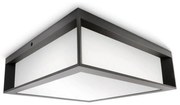 Philips - Vonkajšie stropné svietidlo SKIES 2xE27/14W/230V IP44 antracit P4785