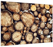 Obraz - Drevo v snehu (70x50 cm)