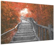 Obraz - Schody v prírode, oranžová (90x60 cm)