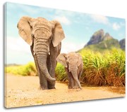 Obraz na stenu ZVIERATÁ_049-11 | rôzne rozmery