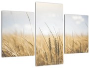 Obraz obilia (90x60 cm)