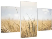 Obraz obilia (90x60 cm)