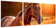 Obraz - Kôň v západe slnka (s hodinami) (90x30 cm)