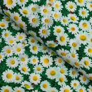 PVC obrus Margaréty na zelenom PV-161 - metráž š. 140 cm