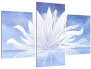 Obraz - Lotusový kvet (90x60 cm)