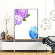 Plagát - Hortenzie (A4)