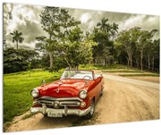 Obraz - auto veterán v prírode (90x60 cm)