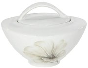 AKCENT cukornička magnólia, 300 ml