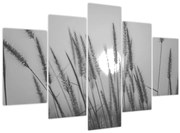 Obraz - Lúka pri západe slnka (150x105 cm)