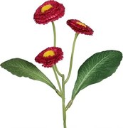 Umelá kvetina Sedmokráska 24 cm, vínová%