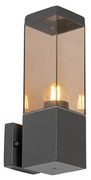 Moderná vonkajšia nástenná lampa tmavosivá s dymovým sklom - Malios