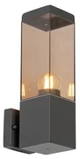 Moderná vonkajšia nástenná lampa tmavosivá s dymovým sklom - Malios