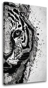 Obraz na plátne TIGER 001 | rôzne rozmery