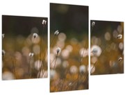 Obraz - Lúka s cottongrass N⁰2 (90x60 cm)